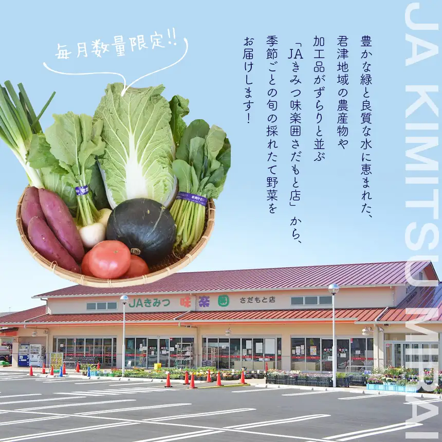 季節の野菜まごころBOX 人気の直売所 JAきみつ味楽囲さだもと店 | 野菜  詰合せ セット  旬野菜 新鮮 千葉県 君津市