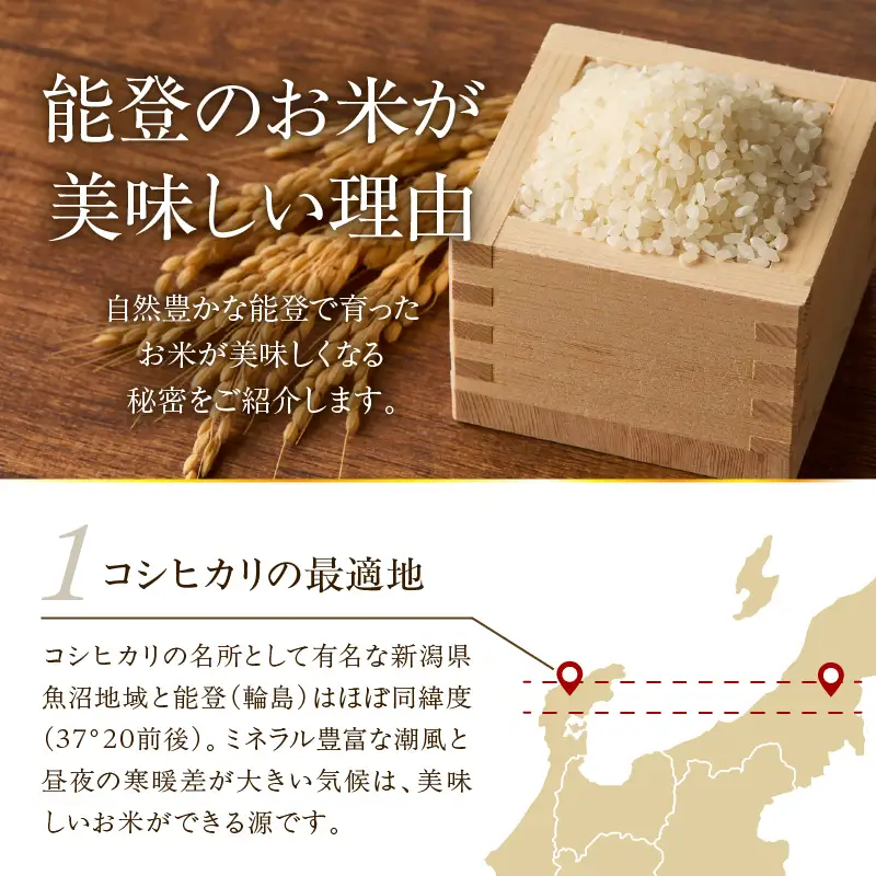 6月発送 R8年産 コシヒカリ 2kg 無洗米 wa084 無洗米 米