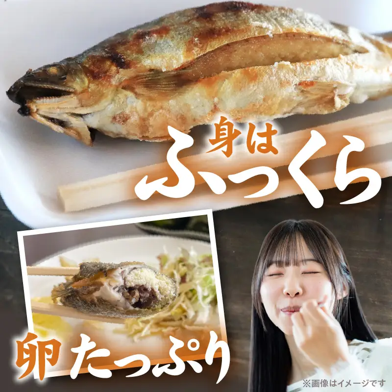 【冷凍】子持ち鮎約2.5kg N070-YC425-2