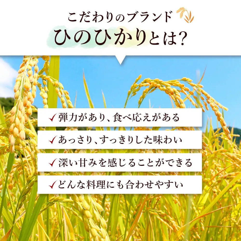 【定期便 6か月 ヒノヒカリ】白米10kg（6か月連続お届け）2025年産 米 お米 米10㎏ お米10㎏ 兵庫県産 ひのひかり