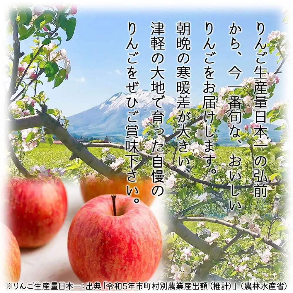 【26年10月中旬～発送】りんご 弘前ふじ【家庭用】約5kg 青森県 弘前市
