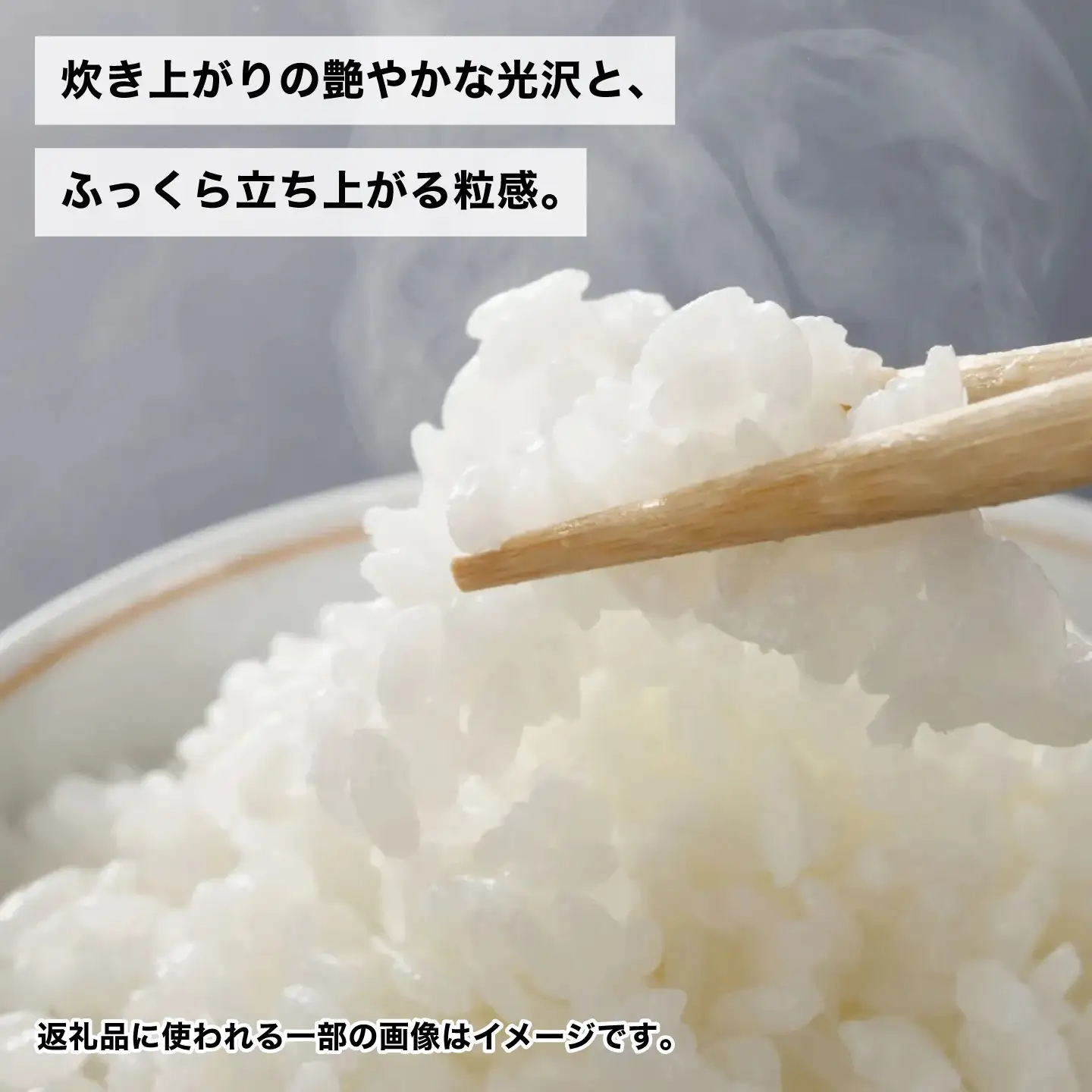 てんこもり 5kg 白米 米 精米 お米 岐阜市 / 森ライス[ANCU015]