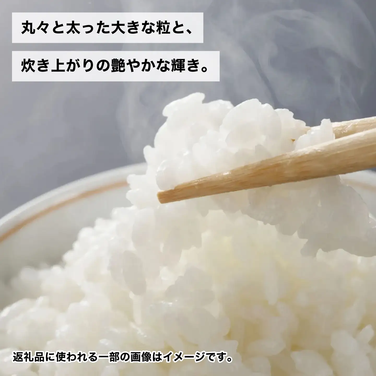 にこまる 5kg 白米 米 精米 お米 岐阜市 / 森ライス[ANCU016]
