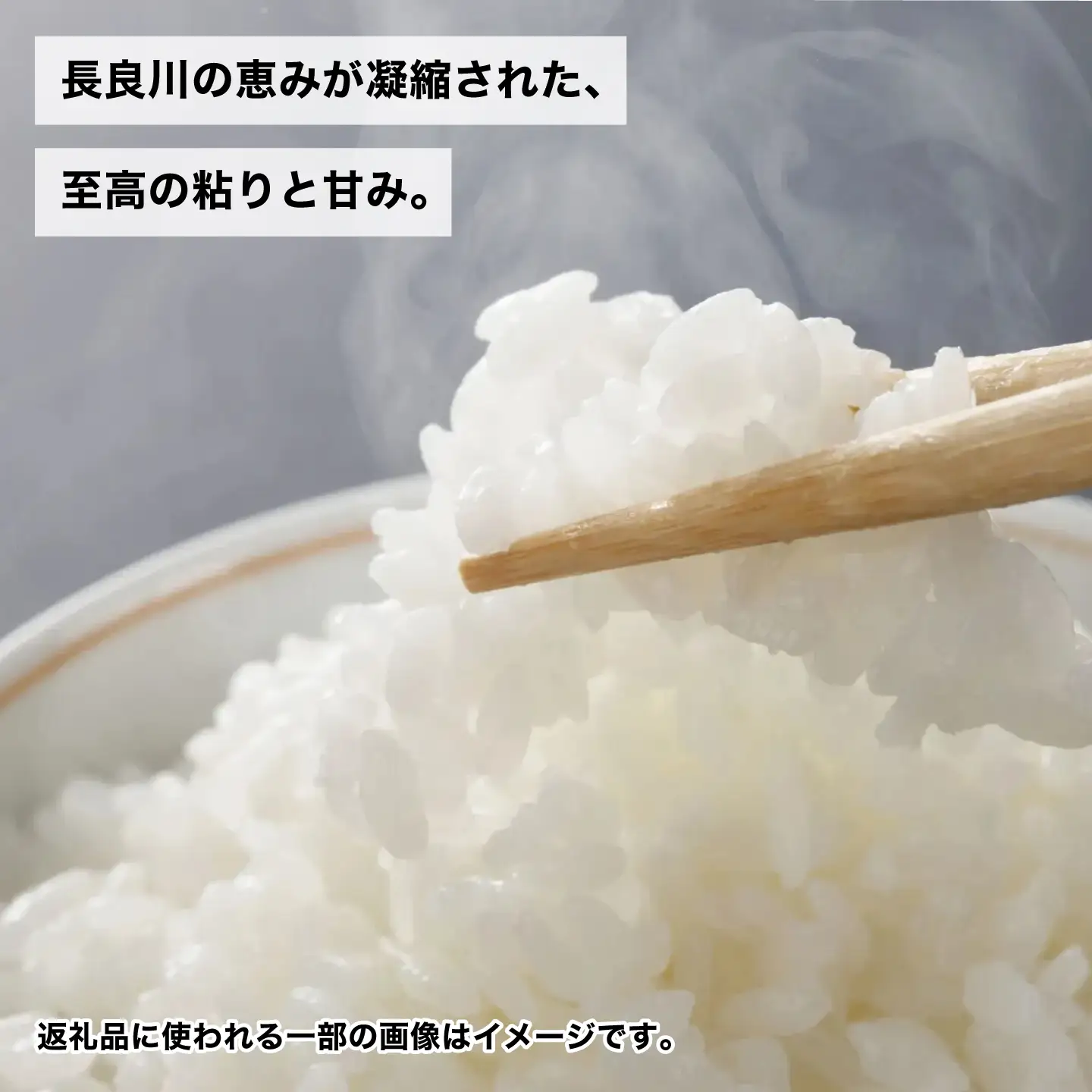 こしひかり 5kg 白米 米 精米 お米 岐阜市 / 森ライス[ANCU017]