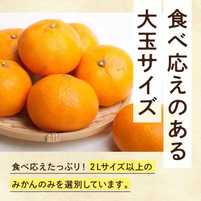 【2026年先行予約】家庭用 大きな有田みかん約5kg+250g（傷み補償分）【わけあり・訳あり】【光センサー選果】_ZH7117