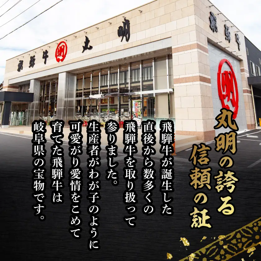 【訳あり】飛騨牛 焼肉　切り落とし 1kg【配送不可地域：離島】【1749005】