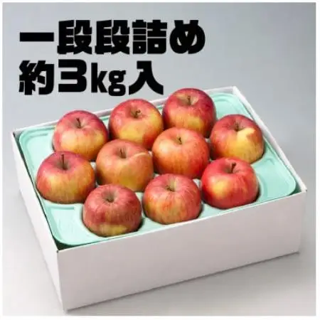 レビュー評価★4.5の訳ありりんご「サンふじ」。お試しサイズ3kgが登場!!【配送不可地域：離島】【1748539】