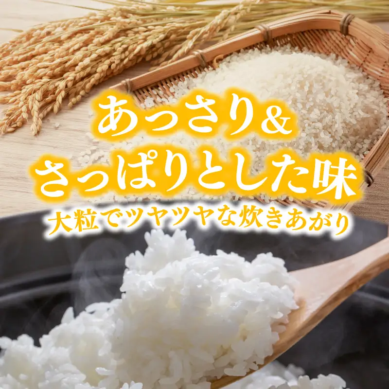 【新米先行予約】【12か月定期便】 萌えみのり 精米 5kg 【令和8年度産精米 白米 米 コメ お米 おこめ ブランド米 ご飯 ごはん 秋田 にかほ】