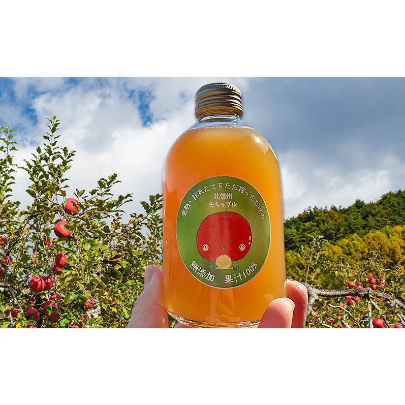 もちっプルのりんごジュース 果汁100% 250ml×10本りんごジュース ジュース 飲料 100%果汁 サンふじ 山ノ内町 もっちーの畑