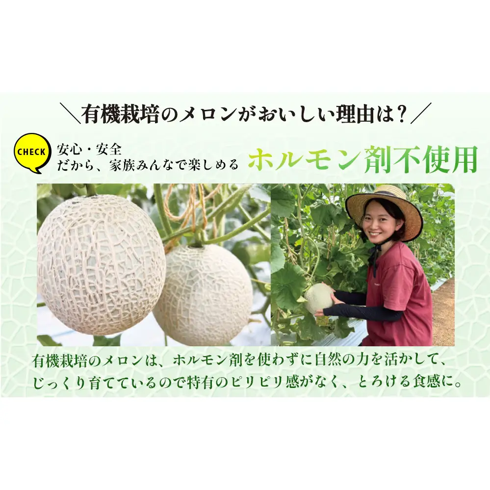 【期間限定】有機メロン「あま玉」1玉 Lサイズ 1.4kg～【R8年7月15日より順次発送】