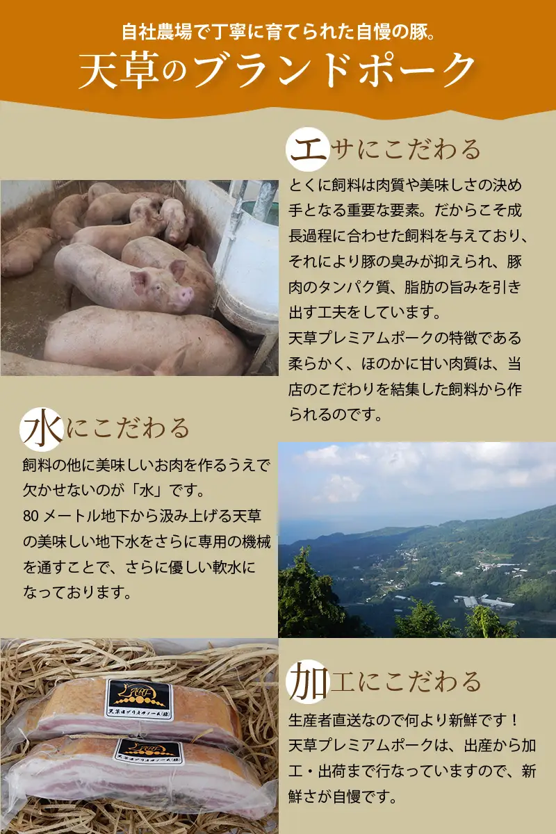 S058-026-T03_【定期便3回】天草プレミアムポーク 豚こま切れ約1.0kg(約500g×2パック)