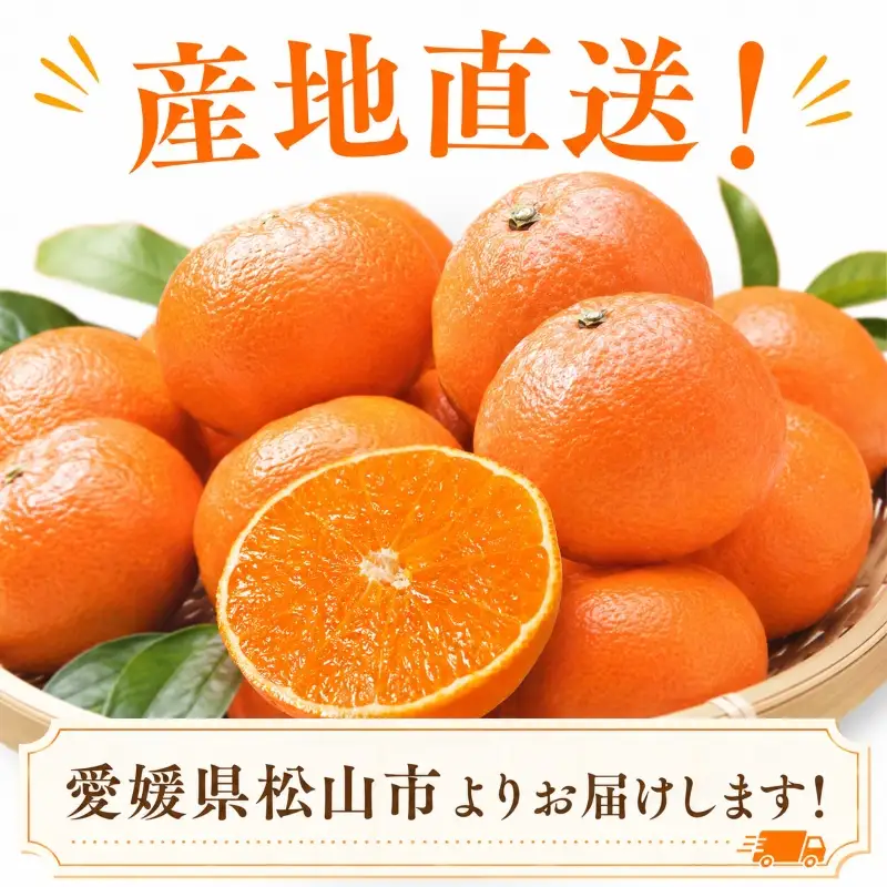 【2026年11月下旬頃より順次発送】約1.8kg 愛果28号 8～10個 | みかん 紅まどんなと同品種 家庭用 愛媛果試28号 松山 ミカン mikan フルーツ 果物 くだもの あいか 農家直送 1.8キロ 数量限定 期間限定 柑橘 愛媛県 松山市 【YBN002】