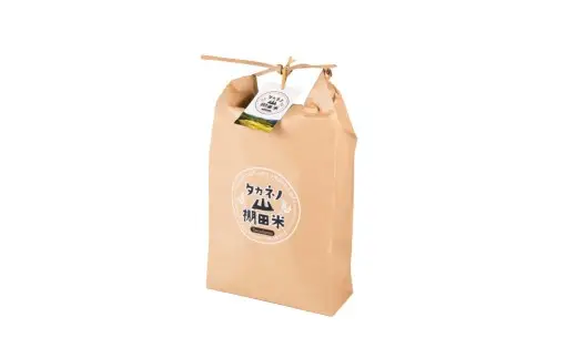 【新米受付・令和8年産米】新潟県村上市岩船産 棚田米コシヒカリ 6kg（3kg×2袋）1011008N
