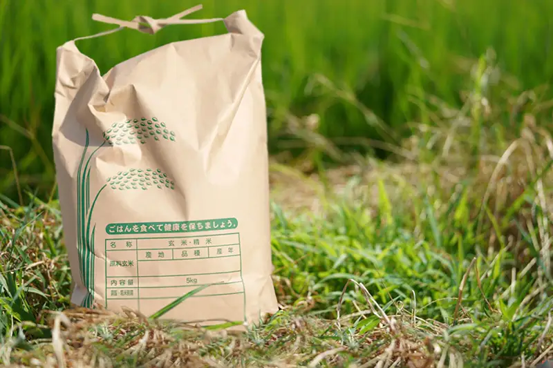 【期間限定】令和7年産 米 ヒノヒカリ 5kg 