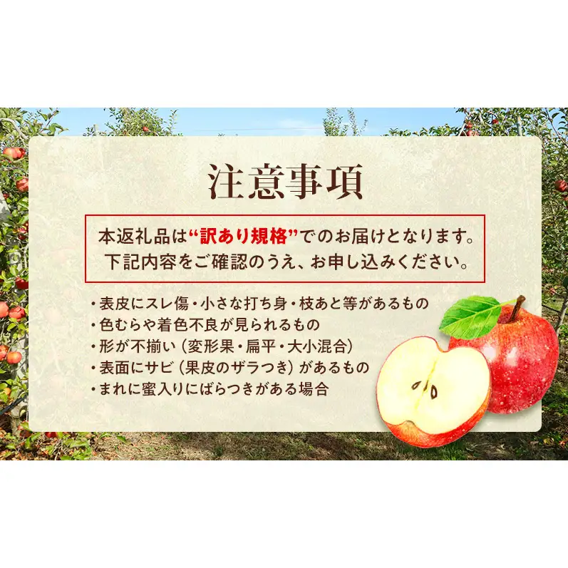 【★先行予約】【訳あり】長野県産りんご（サンふじ）5kg 家庭用 見た目にワケあり 味はそのまま 林檎 果物 長野県 上田 信州