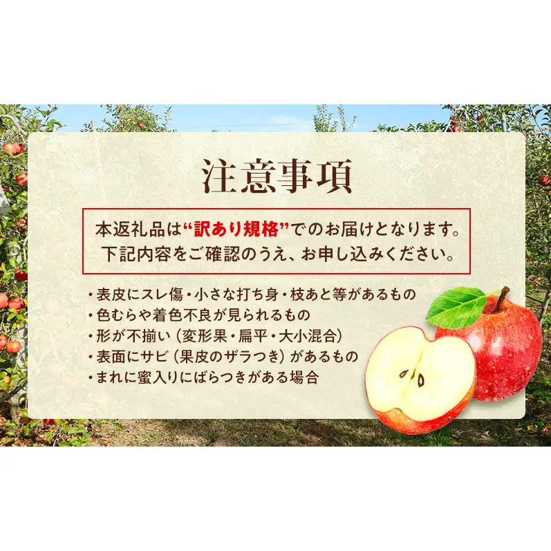 【★先行予約】【訳あり】長野県産りんご（サンふじ）10kg 家庭用 見た目にワケあり 味はそのまま 林檎 果物 旬のフルーツ 長野県 上田 信州