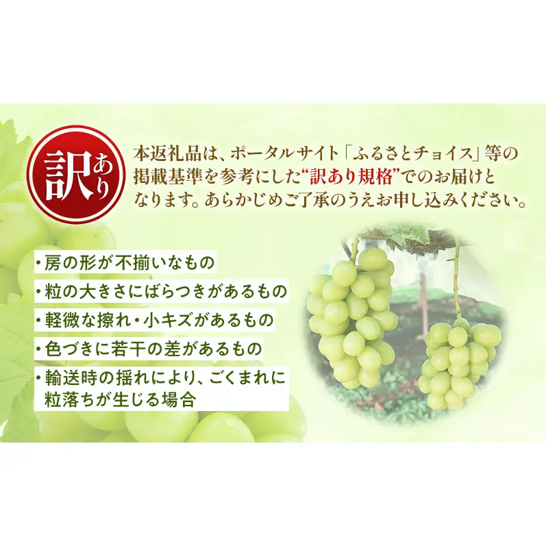【★先行予約】【訳あり】長野県産シャインマスカット 約400g×3房 見た目にワケあり 味はそのまま 果物 旬のフルーツ 長野県 上田 信州