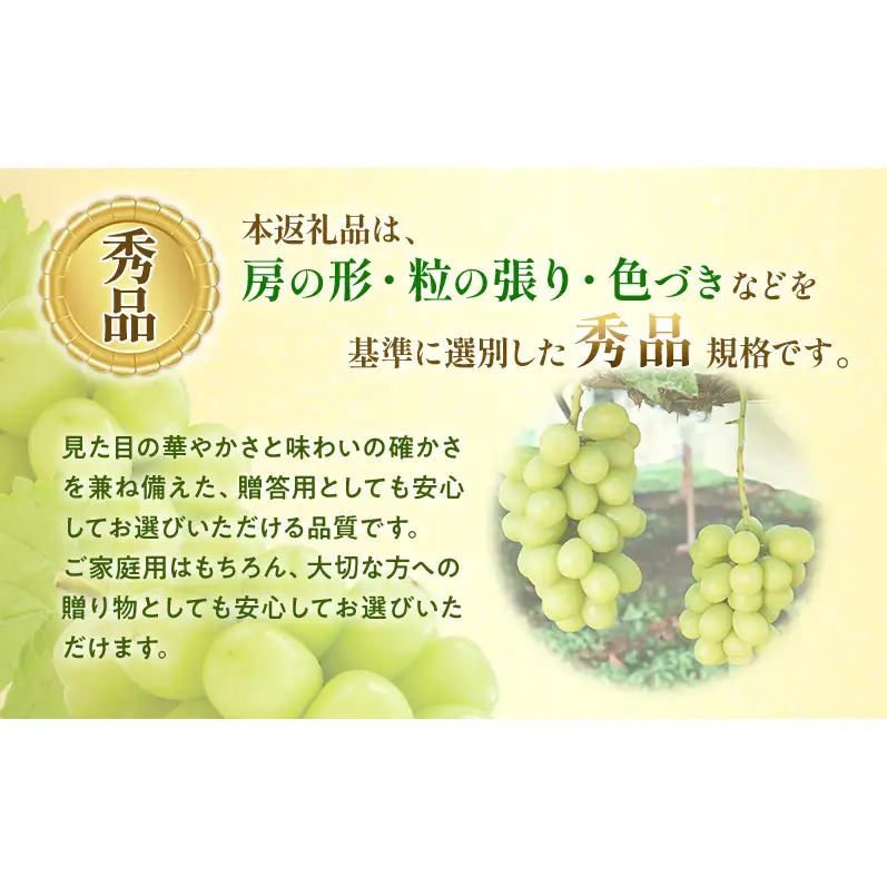 【★先行予約】【逸品】長野県産シャインマスカット 約450～500g×4房 贈答品対応可 果物 旬のフルーツ 長野県 上田 信州