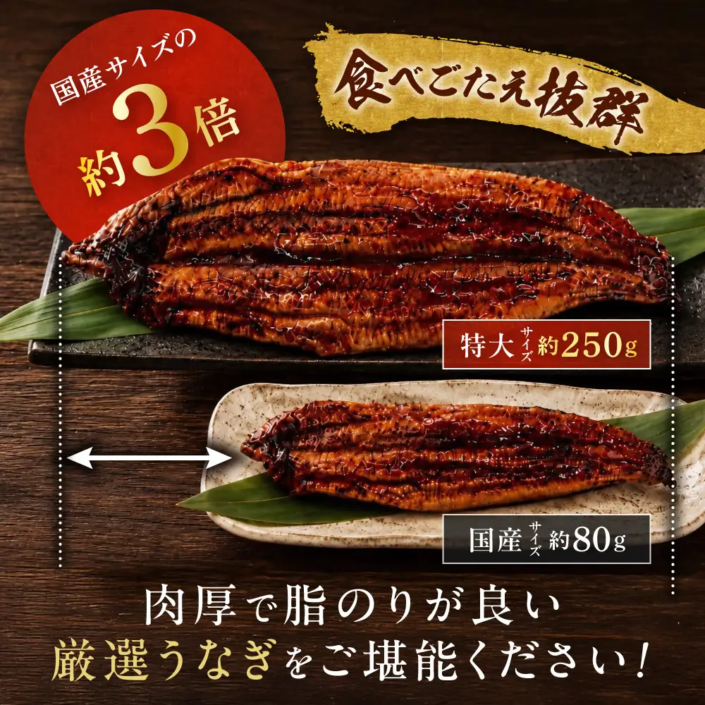 うなぎ蒲焼き4尾 計1.0kg以上(250g以上×4尾)【魚住商店】_HA1494