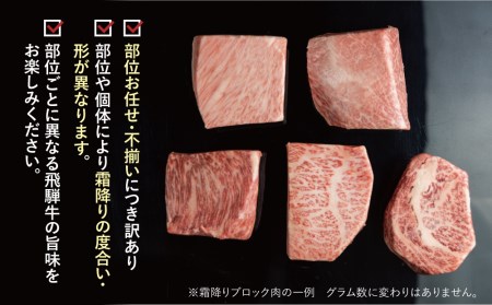 飛騨牛 ブロック肉 600g 牛肉 2種 訳あり 飛騨牛