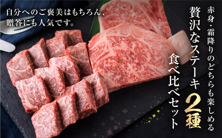 飛騨牛 ステーキ  2種食べ比べ 計600g  牛肉 ステーキ S464