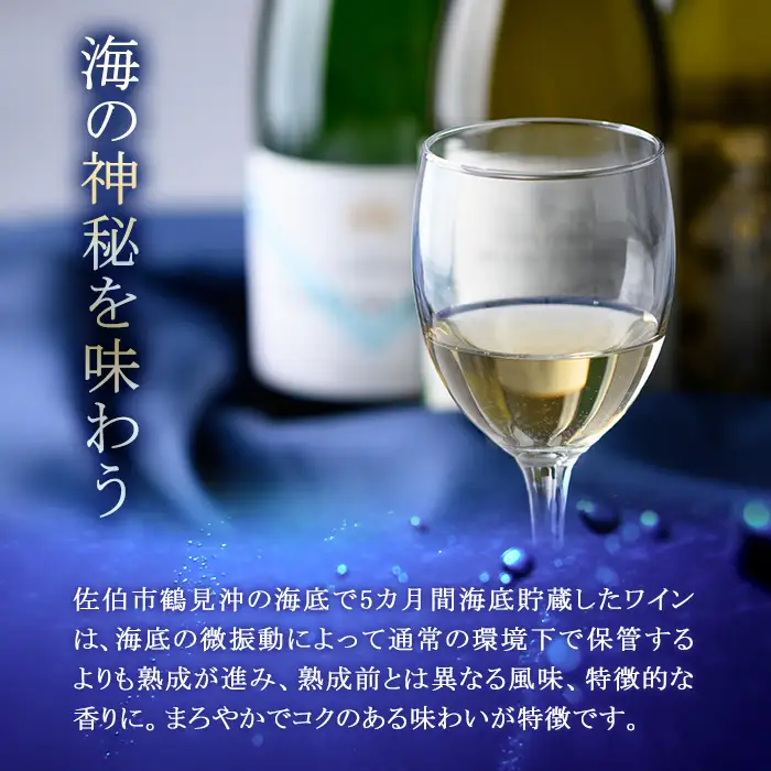 海底貯蔵 白ワイン MARIREINE ロネア コート デュ ローヌ レジョンド デ トック 2024 (750ml・1本) ワイン 白ワイン フランス 酒 パーティー マリレーヌ 海底蔵の眠り酒 熟成 大分県 佐伯市【FP032】【フルタ酒店】