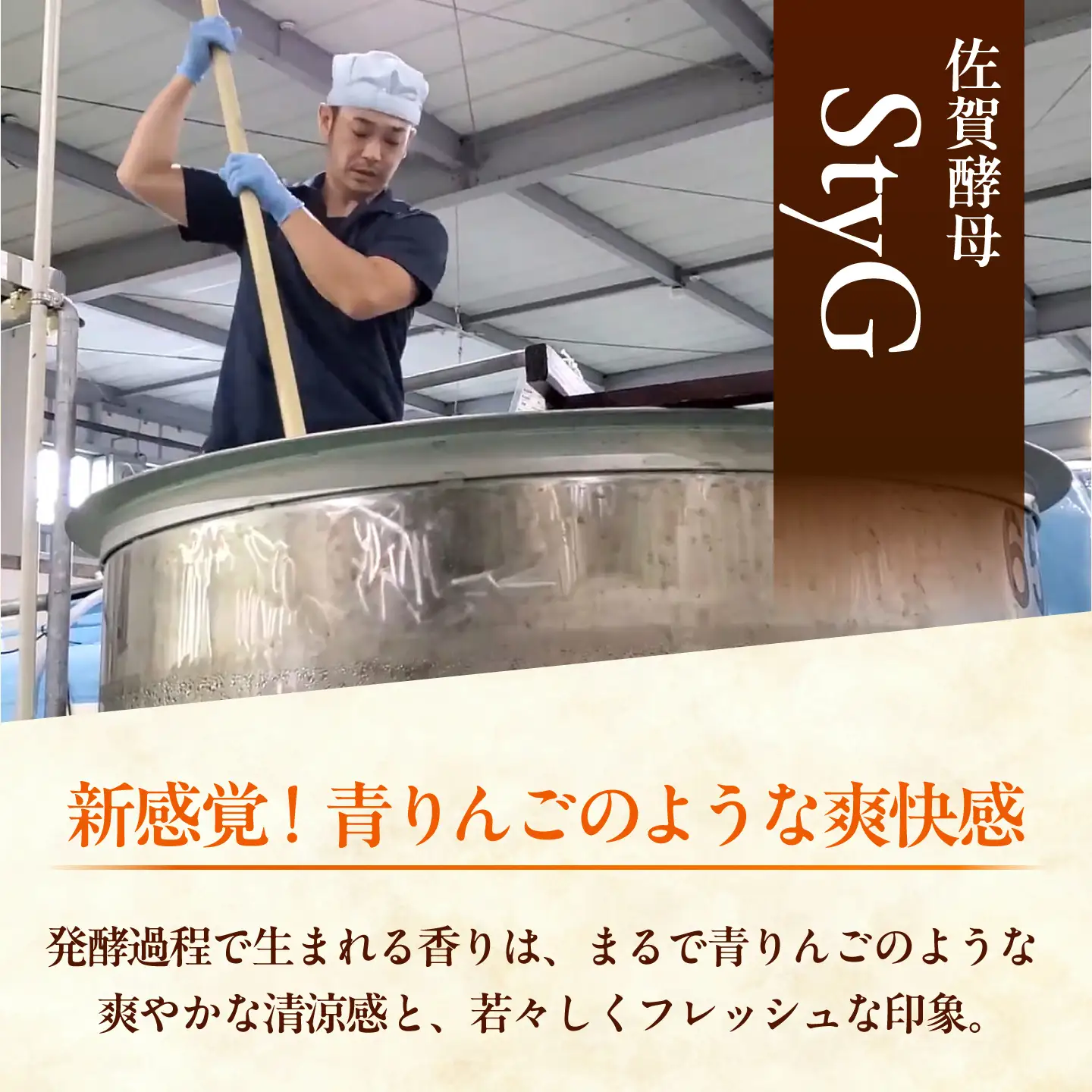 純米酒 飛築 TOBITSUKI 720ml箱入 ≪築上町≫【宗政酒造株式会社】 日本酒 お酒 地酒[ABFD001]