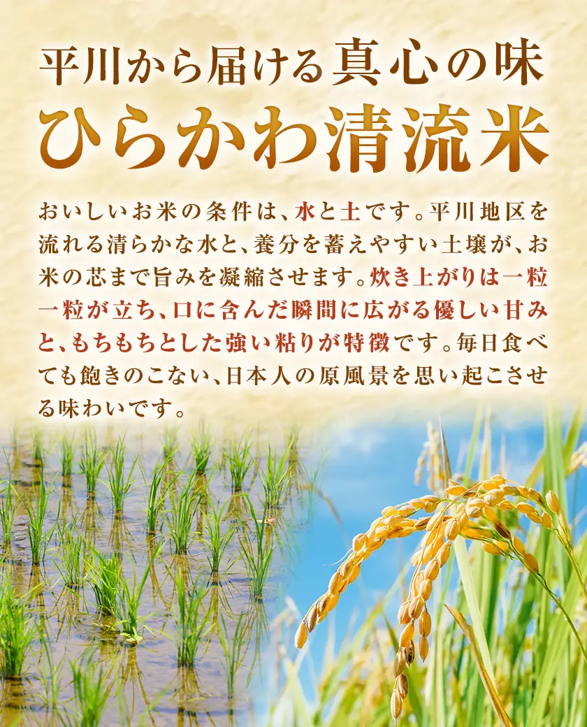 ひらかわ清流米と焼酎セット ひらかわ清流米 5kg×1袋  しびの露 900ml×1本 《30日以内に出荷予定(土日祝除く)》
