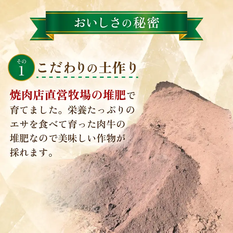【先行予約】マルセイユメロン 4玉 約5.2kg前後（約1.3㎏前後×4玉）大人気の赤肉品種！高級メロンの味わい ／ 果物 フルーツ ギフト 農家直送 ※2027年6月上旬以降順次発送  [aw065-a019]