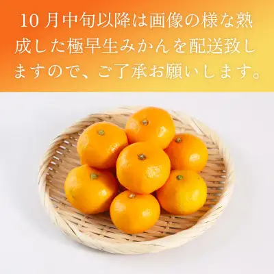 極早生みかん 約7kg 114-B1004