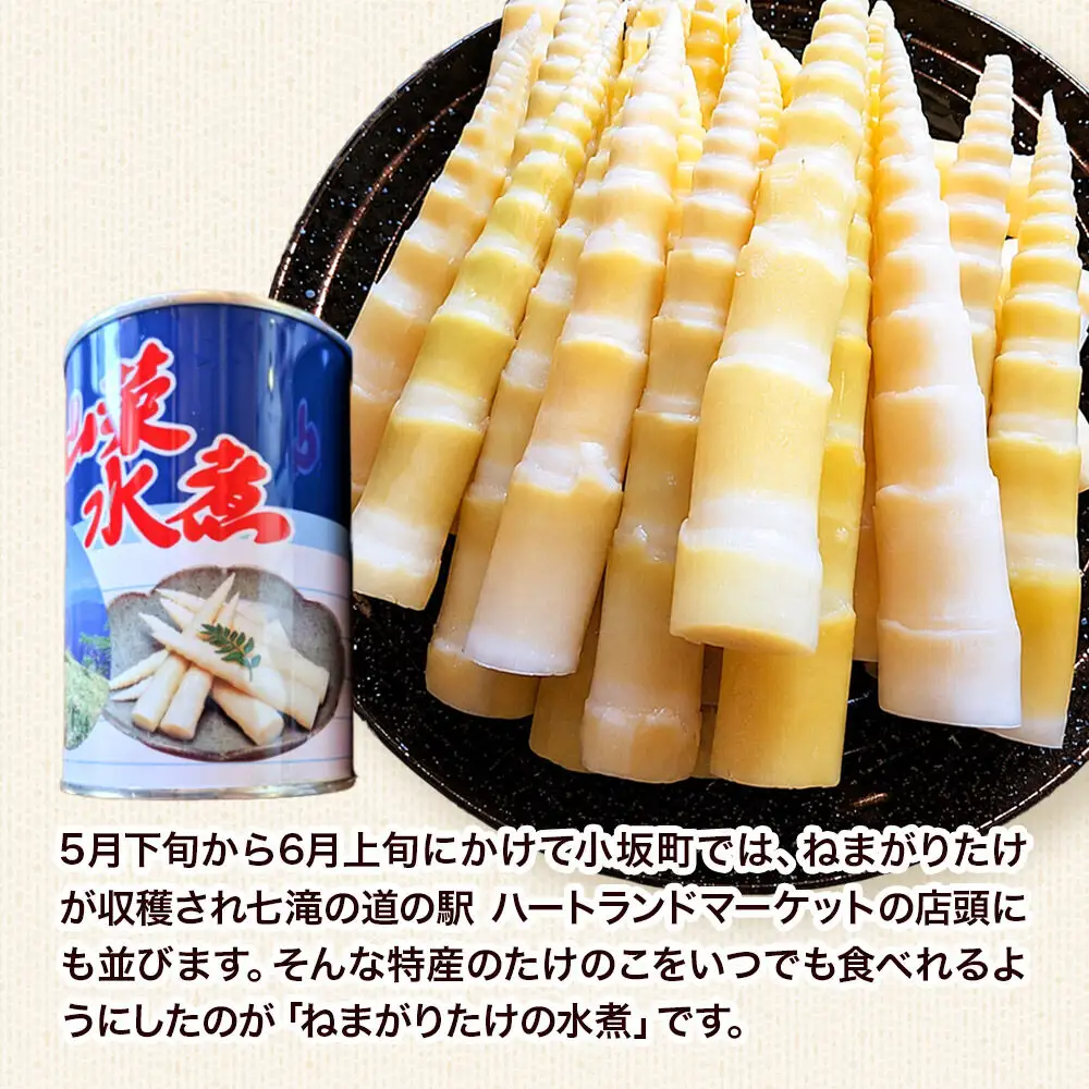 小坂の恵み ねまがりたけ 缶詰 2缶セット（穂先）