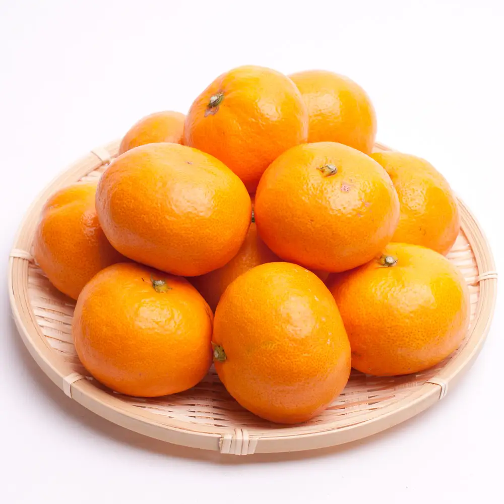 【先行予約】プレミアム 有田みかん（完熟）10kg+250g（傷み補償分） ※11月より発送 ※北海道・沖縄・離島配送不可 /みかん ミカン 果物 果実 有田 和歌山 フルーツ オレンジ【ikd215A】