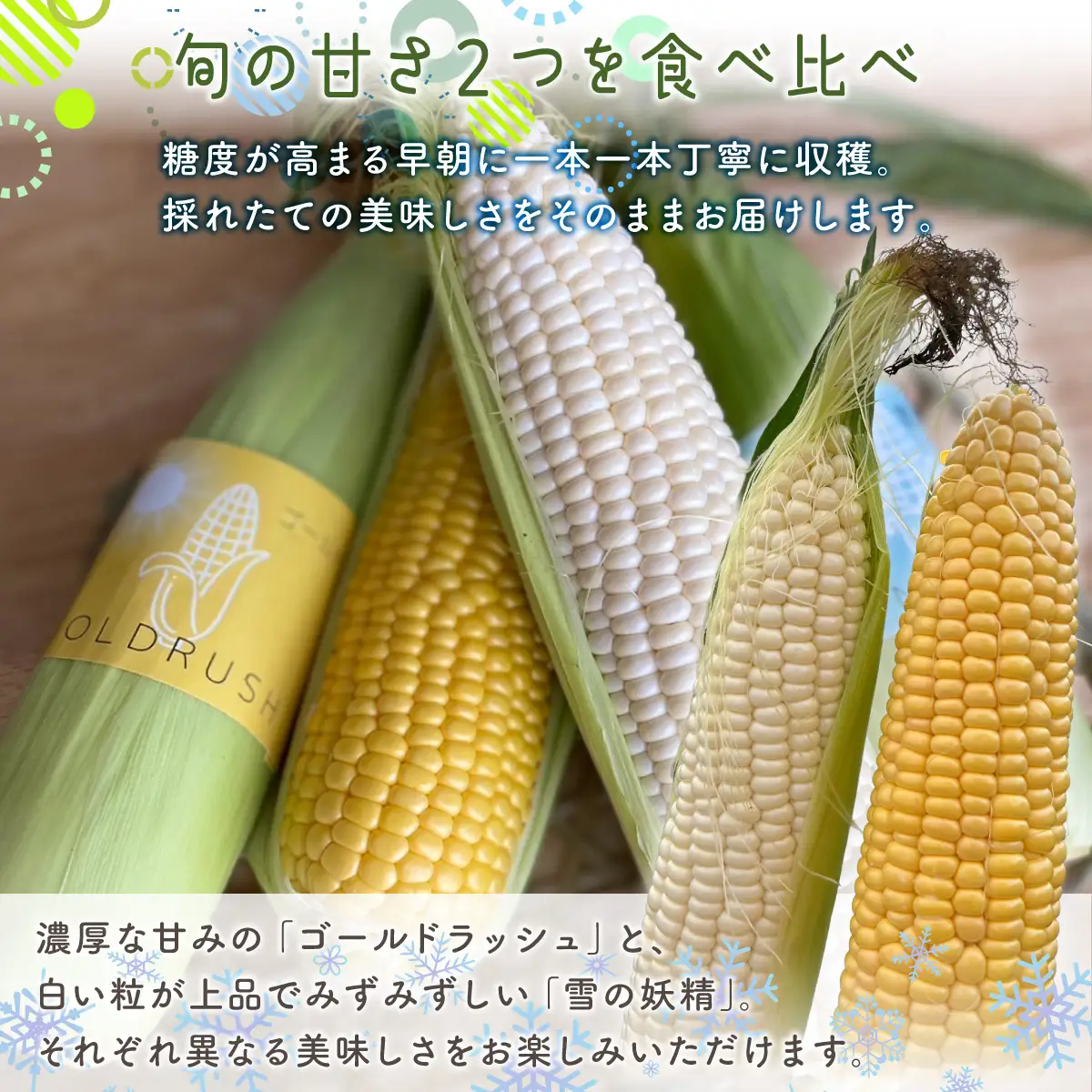 【先行予約】とうもろこし ゴールドラッシュ＆雪の妖精 食べ比べセット（2026年8月上旬頃より順次発送） ABCA003