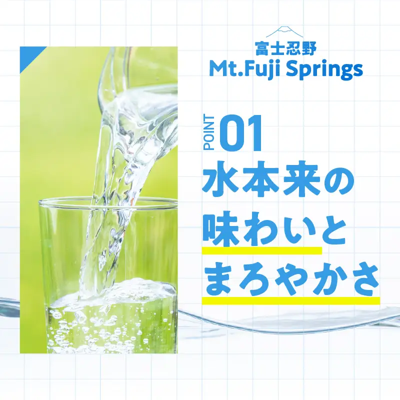 【12ヶ月定期便】富士忍野　Mt．Fuji　Springs　12L×2本　12ヶ月コース（ウォーターサーバーレンタル無料）【SHC-F9000SW（床置型）】
