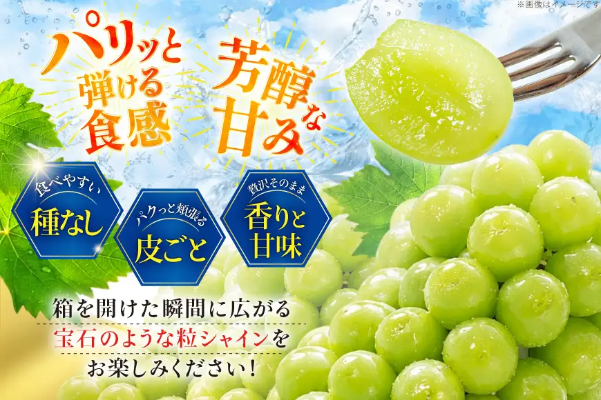 【2026年発送】 シャインマスカット 先行予約 ひと口 BOX 36粒入り 約 400g