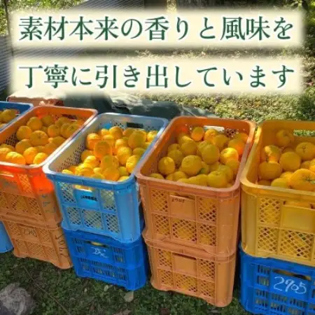【香りと辛みで料理に深みを】スパイス薫る赤い柚子胡椒(瓶)50g ×6本 5セット【1736713】