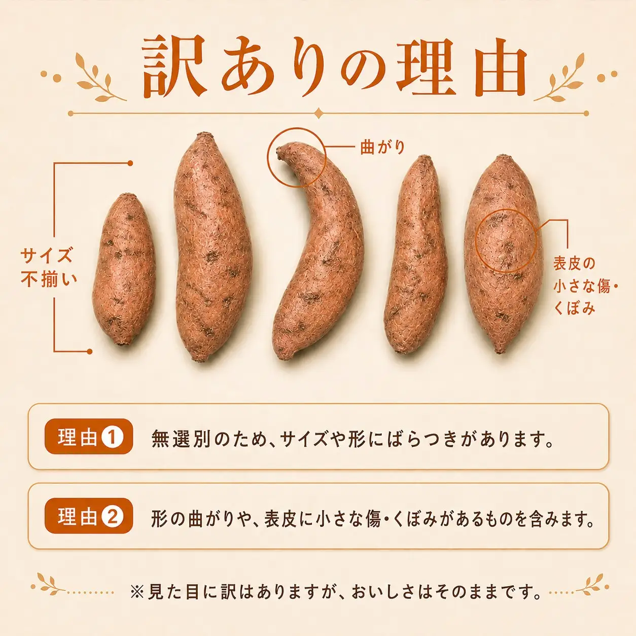 【訳あり】さつまいも 熟成 安納芋 約10kg 焼き芋 焼芋 やきいも ねっとり 濃厚 蜜芋 芋 おいも サツマイモ さつま芋 安納いも スイーツ おやつ 国産 産地直送 栽培期間中農薬不使用 高知県 大月町産