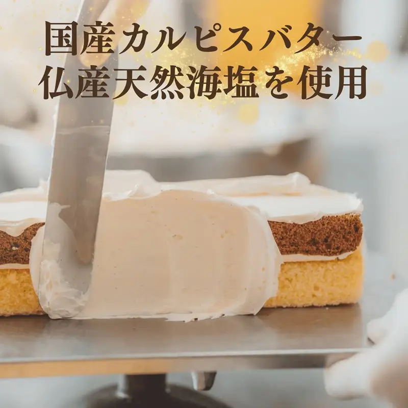 ～DAMIER～ ダミエ(ロングサイズ)　半生菓子　ミラベル (a11-199)