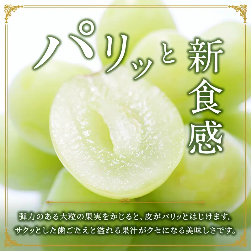 シャインマスカット 訳あり シャインマスカット【1房 約450g】