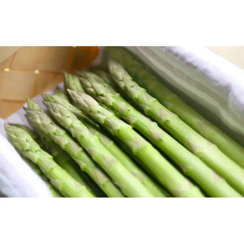グリーン アスパラガス Lサイズ 400g×2束 ｜2Lサイズ 400g×1束 計1.2kg 令和8年産 国産 産地直送 冷蔵配送 新潟県上越市産 横山農園 