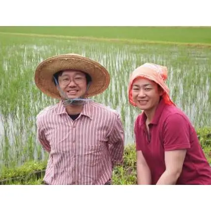 令和7年産 新潟県上越市産 コシヒカリ 2kg（2kg×1袋）真空パック 愛情栽培 Riki-saku アフコ・秋山農場のPB米 精白米