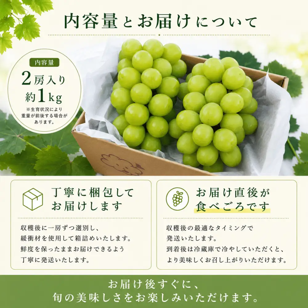 【ふるさと納税】 2026年発送 シャインマスカット 2房 1kg ふるさと納税 フルーツ ぶどう 果物 送料無料 山梨県産 2026 旬 大粒 高級 ブドウ 葡萄 西桂町 ふるさと納税 【 2026年発送 】