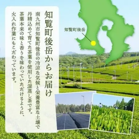【のし付き・お中元】お茶の芳香園 輝粋ギフトBOX【1751660】