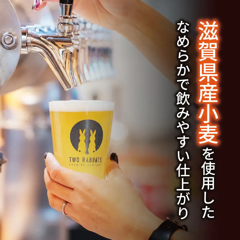 TWO RABBITS BREWING クラフトビール＜金柑ウィット×24本セット＞【DN03W】