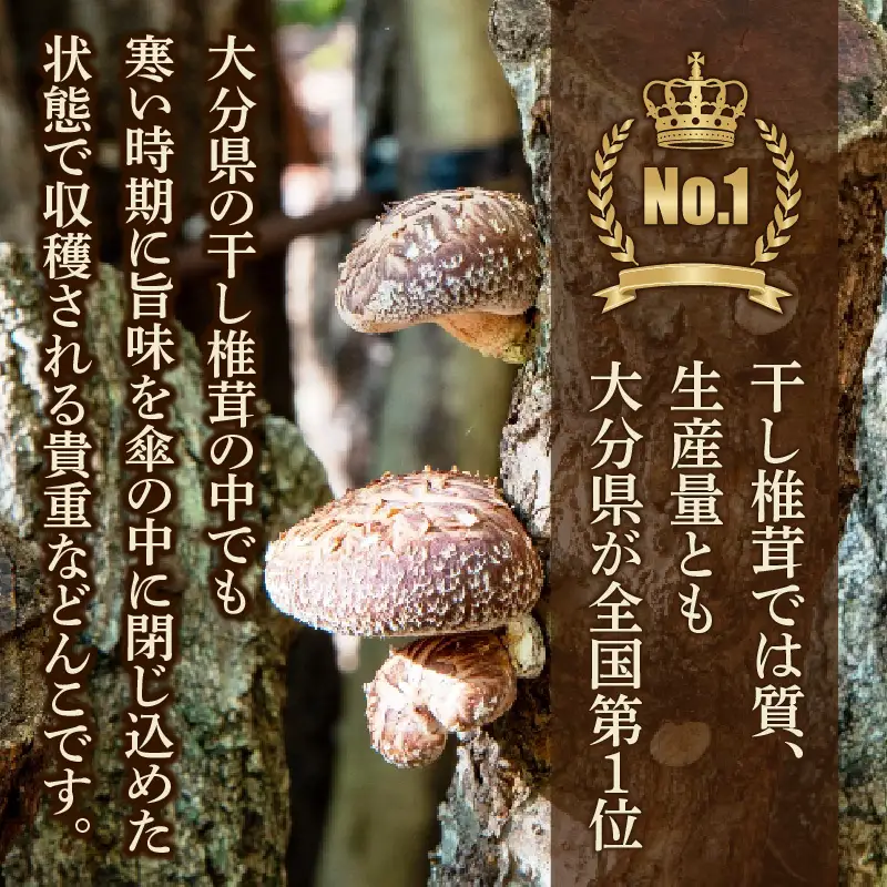 お好きな分だけ取出せる肉厚どんこ缶（詰め替え用）1袋180g_1389R-2