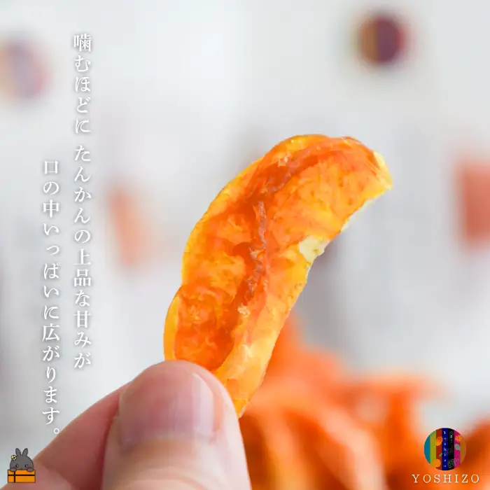 ～柑橘の爽やかな甘み凝縮！～徳之島産ドライフルーツたんかん（5袋）