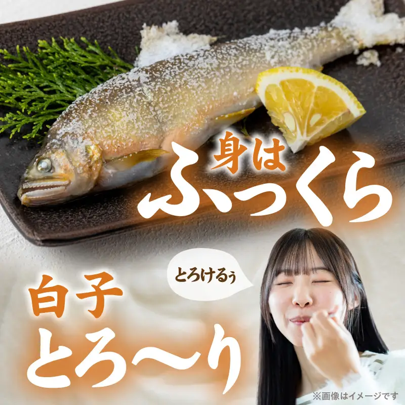 【冷凍】白子鮎約1.5kg N070-YA865-2