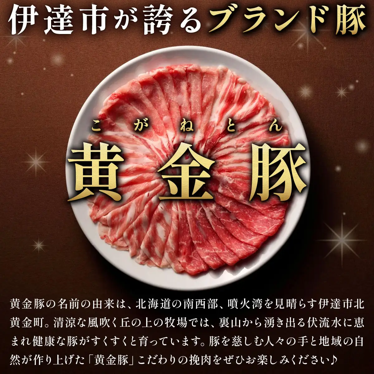 ＜10月発送＞＜黄金豚＞ブランドポーク 北海道 豚ひき肉 普通挽き 200g 10パック 計2kg | 伊達産 黄金豚 三元豚 ミンチ 挽肉 お肉 豚肉 小分け ハンバーグ 餃子 カレー 大矢 オオヤミート 冷凍 送料無料 55257039-2610