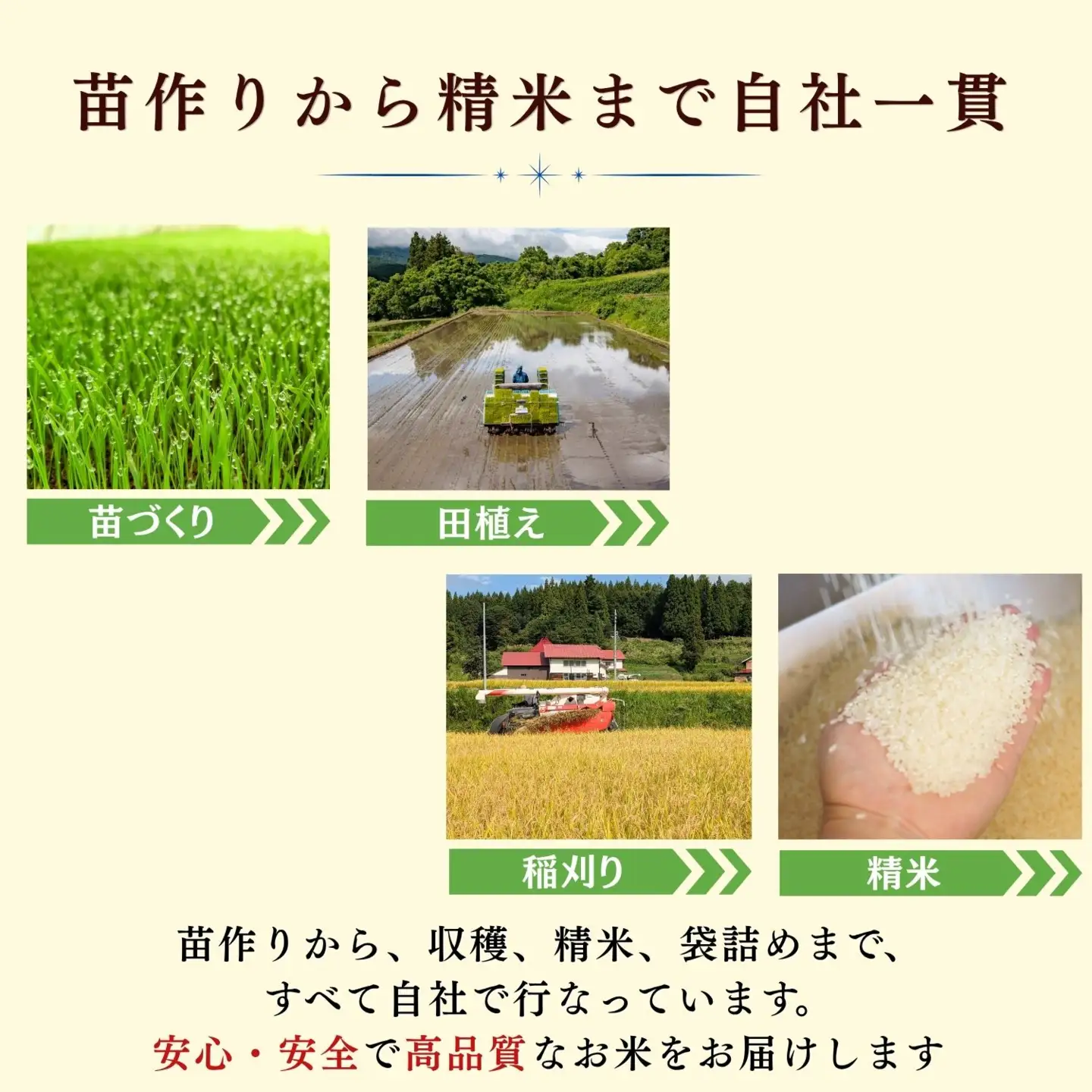 【先行予約】《 令和８年産 新米 》 にじのきらめき 精米 10kg（5kg×2袋） 瑞穂 豊米《 2026年10月上旬より出荷 》(Cl-009）