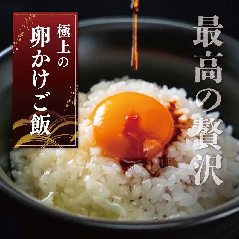 新鮮たまご 赤玉 Lサイズ 20個×3回 【定期便】中村養鶏場 ny4
